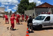 PRESOS DE PONTE NOVA E RIO PARDO DE MINAS ESTÃO ATUANDO NA LIMPEZA DAS CIDADES CASTIGADAS PELAS CHUVAS
