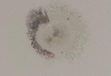 Moradores reclamam dos apartamentos construídos pela construtora Limac