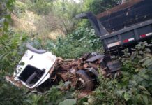 Motorista tem cabeça arrancada em colisão de duas carretas