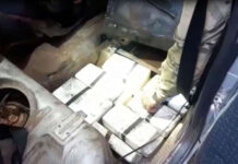 Polícia apreende mais de 70 kg de droga e ‘dá prejuízo’ de R$ 8,7 milhões