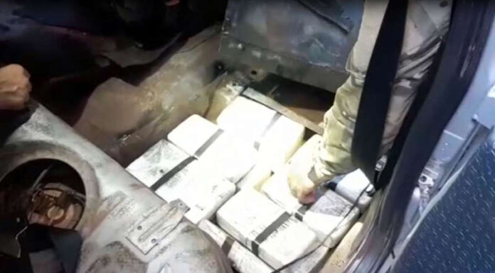Polícia apreende mais de 70 kg de droga e ‘dá prejuízo’ de R$ 8,7 milhões