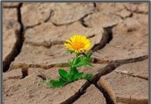 Esperança, faz bem a alma e ao…Coração!