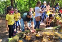 João Monlevade é selecionada para Programa Jovens Mineiros Sustentáveis