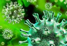 Brasil registra recorde de 132 mil casos de Covid-19 em 24 horas