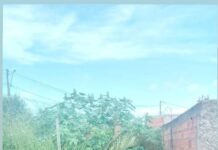 Mato toma conta de lote vago, começa a invadir rua e moradores do Planalto cobram providências