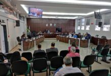 Requerimentos, anteprojetos e moção de Aplausos são aprovados pelos vereadores