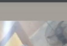 Homem morre com 5 tiros no Planalto e assassino já está vendo o sol nascer quadrado