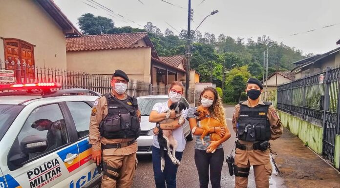 Homem é preso por agredir seus cachorros