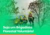 Seleção para o curso de formação de brigadistas florestais voluntários de João Monlevade