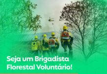 Seleção para o curso de formação de brigadistas florestais voluntários de João Monlevade