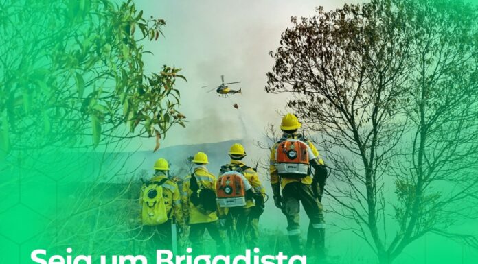 Seleção para o curso de formação de brigadistas florestais voluntários de João Monlevade