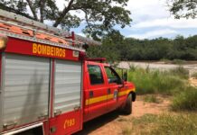 Bombeiros retomam buscas por vítima de afogamento em Alvinópolis