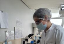 Prefeitura fará testes de Covid-19 na Praça do Povo e Manoel Loureiro