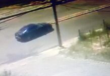 Condutor de audi, que fez manobras perigosas no Novo Aclimação conforme videos que circularam nas redes sociais, esfria cabeça no paredão da delegacia