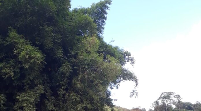 Secretaria Municipal de Obras de Itabira comunica interdição da via de acesso ao Parque Ribeirão São José