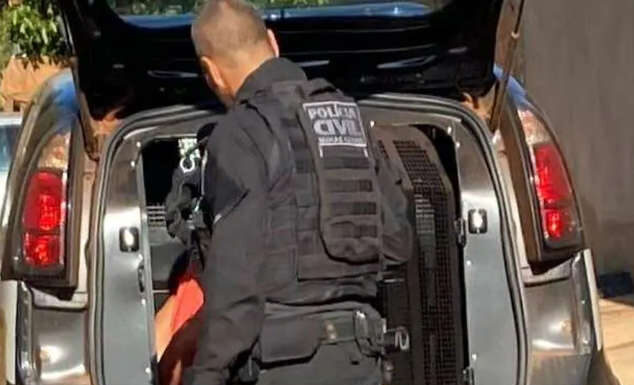 Criança de 5 anos é incendiada e morre durante ritual satânico em Frutal