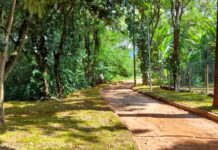 Comunidade tem até dia 15 de março para envio de sugestões para o Plano de Manejo do Areão