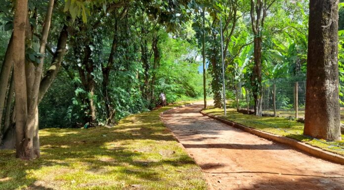 Comunidade tem até dia 15 de março para envio de sugestões para o Plano de Manejo do Areão