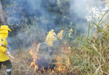Divulgada a lista dos aprovados para curso de formação de Brigadista Florestal Voluntário de João Monlevade