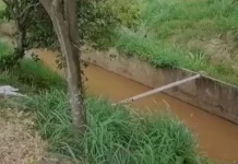 Bebê achado em córrego foi jogado pela mãe em saco de lixo