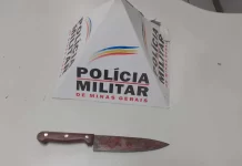 Jovem em surto esfaqueia diarista e mãe no bairro Castelo, em Belo Horizonte