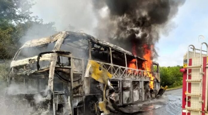 Ônibus de viagem pega fogo e fica completamente destruído na BR-251