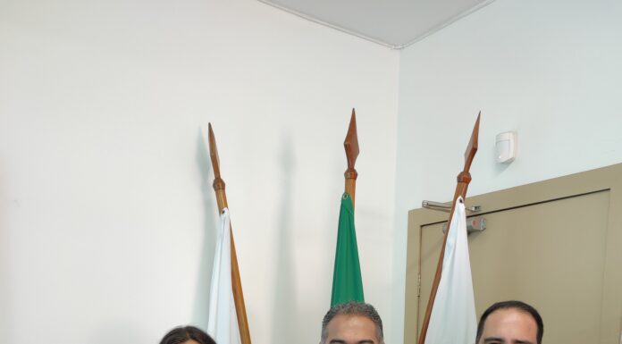 Nova versão da carteira de identidade começa a ser emitida a partir da próxima semana