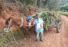 Publicação da Câmara de Rio Piracicaba contempla localidades distantes e surpreende moradores