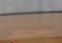 Buffet Barenze lança novo cardápio com opções saborosas, sofisticadas e práticas