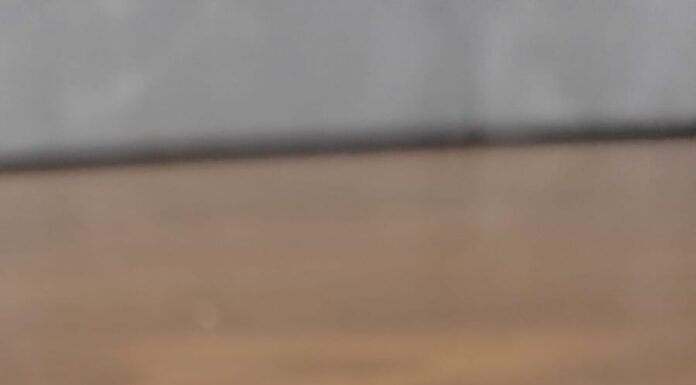 Buffet Barenze lança novo cardápio com opções saborosas, sofisticadas e práticas