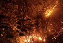 Alerta para aumento de focos de incêndio