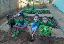 Área ociosa da Escola Municipal Cicinha Moura servirá como horta comunitária