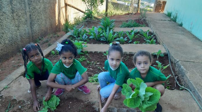 Área ociosa da Escola Municipal Cicinha Moura servirá como horta comunitária