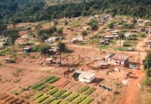 Mulher é morta com golpes de foice em acampamento do MST em São Joaquim de Bicas