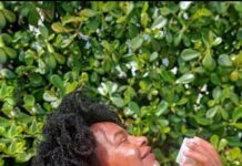 Mês da Mulher Negra