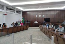Comissão de Saúde da Câmara realiza mais uma reunião com profissionais do setor