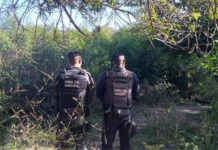 Homem que ateou fogo em ex-companheira é encontrado morto em loteamento