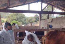 Qualifica SUS! Agentes de combate a endemias recebem capacitação com a Funed.