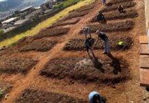 Escola Municipal Cicinha Moura inicia plantio de mudas em horta comunitária