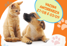 João Monlevade começa vacinação contra raiva animal este mês