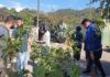 Parceria entre Secretaria de Meio Ambiente e escola garante plantio de árvores frutíferas
