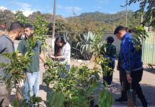 Parceria entre Secretaria de Meio Ambiente e escola garante plantio de árvores frutíferas