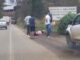 Mulher é atropelada na BR-381 em João Monlevade