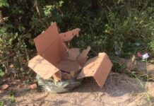 No dia do aniversário, mãe se arrepende de ter abandonado filha e revela motivo