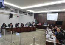 Vereadores aprovam projeto de conscientização, prevenção e combate à prática de queimadas