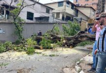Após temporal, ruas de João Monlevade são limpas