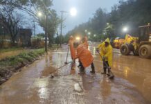 Após temporal em Monlevade, Brigada Florestal Voluntária auxilia na limpeza da cidade