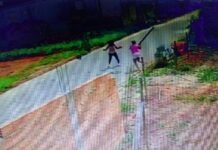 Mulher mata vizinha com golpes de faca e pauladas na Grande BH