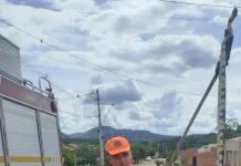 Cobra com mais de 2 metros assusta moradores em Montes Claros