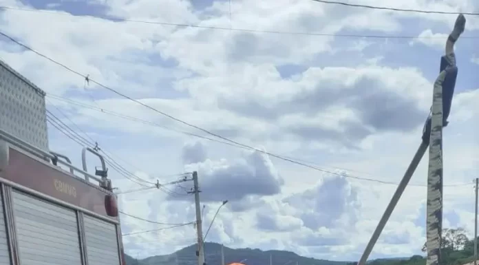 Cobra com mais de 2 metros assusta moradores em Montes Claros